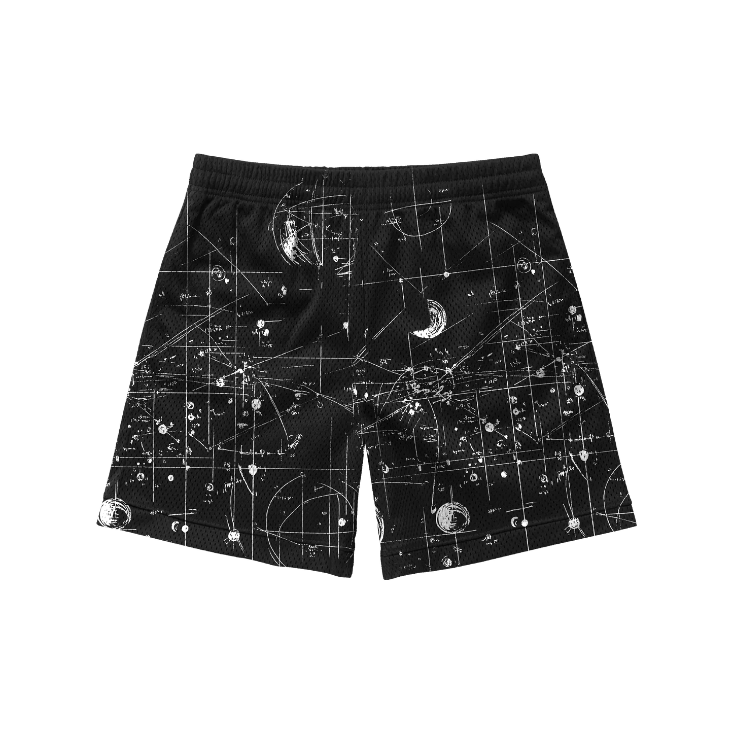 Bag Chaser Shorts